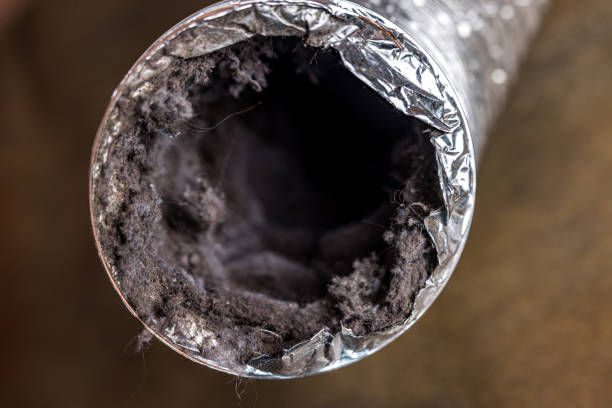 Best Affordable Air Duct Cleaning  in Deerfield Beach, FL